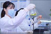 巾幗不讓須眉,她們獲省級巾幗文明崗榮譽